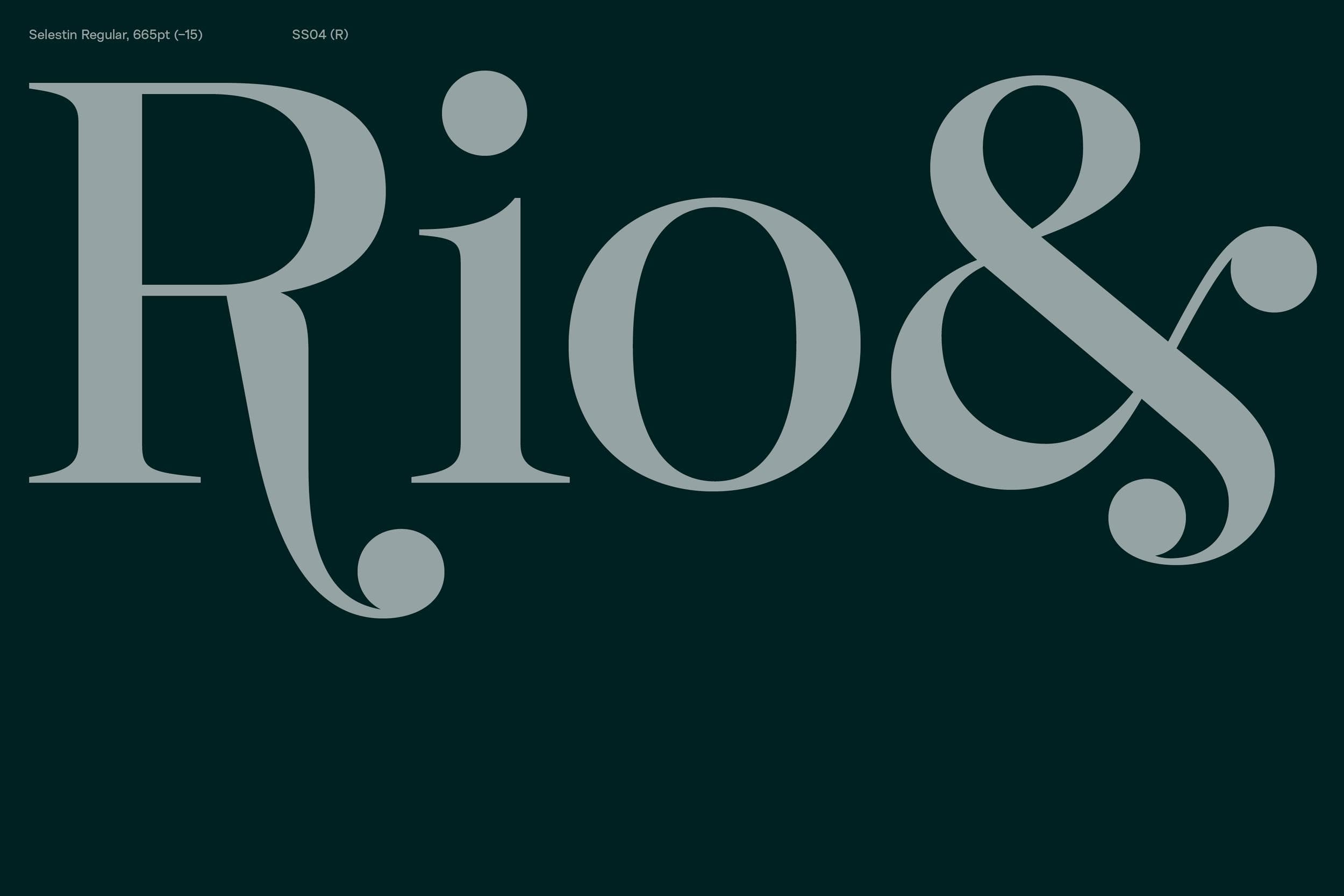 Selestin_Behance_7.png