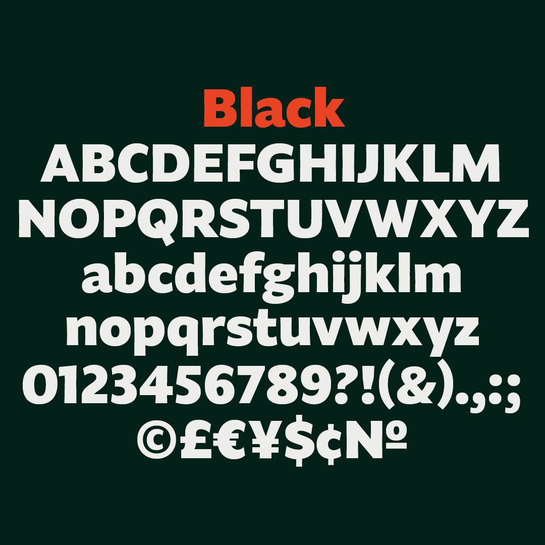 Fagun_Instagram_Weights_Animation.gif