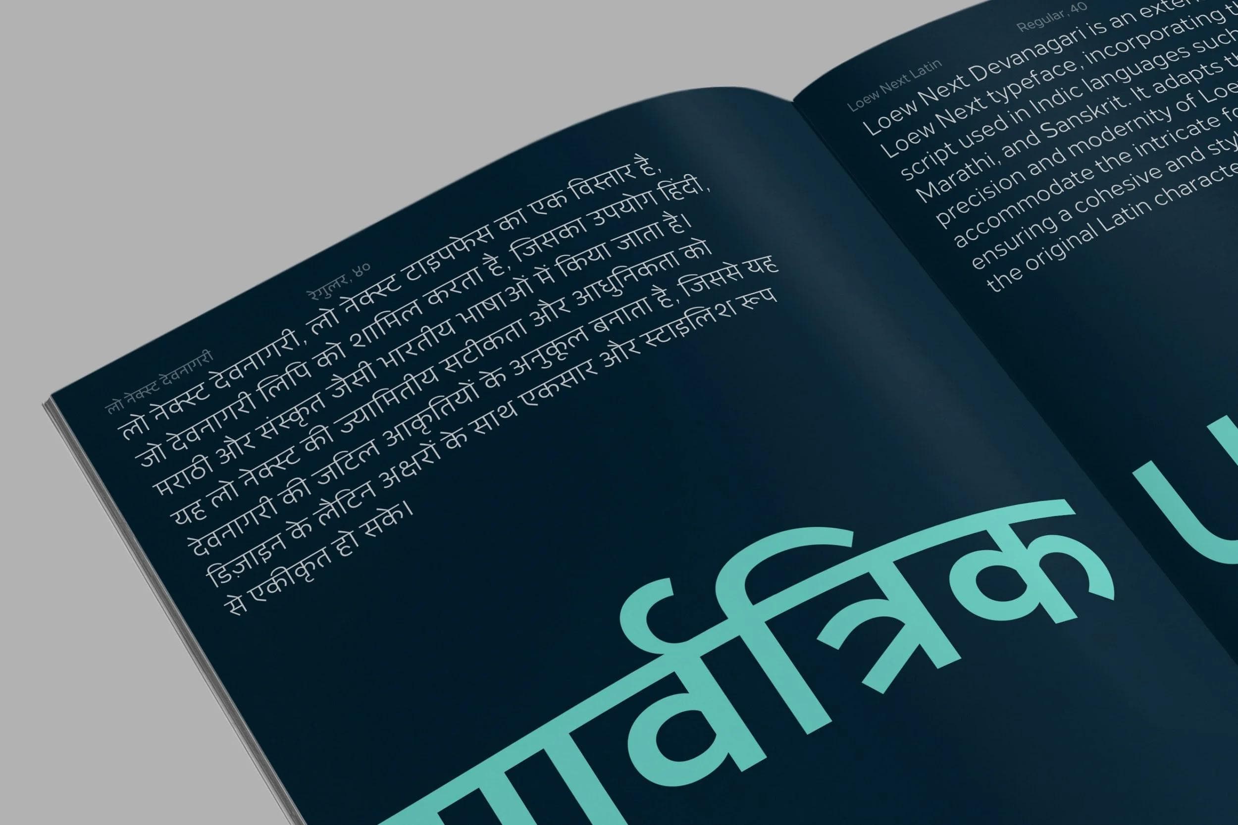 LoewNextDevanagari_6.jpg