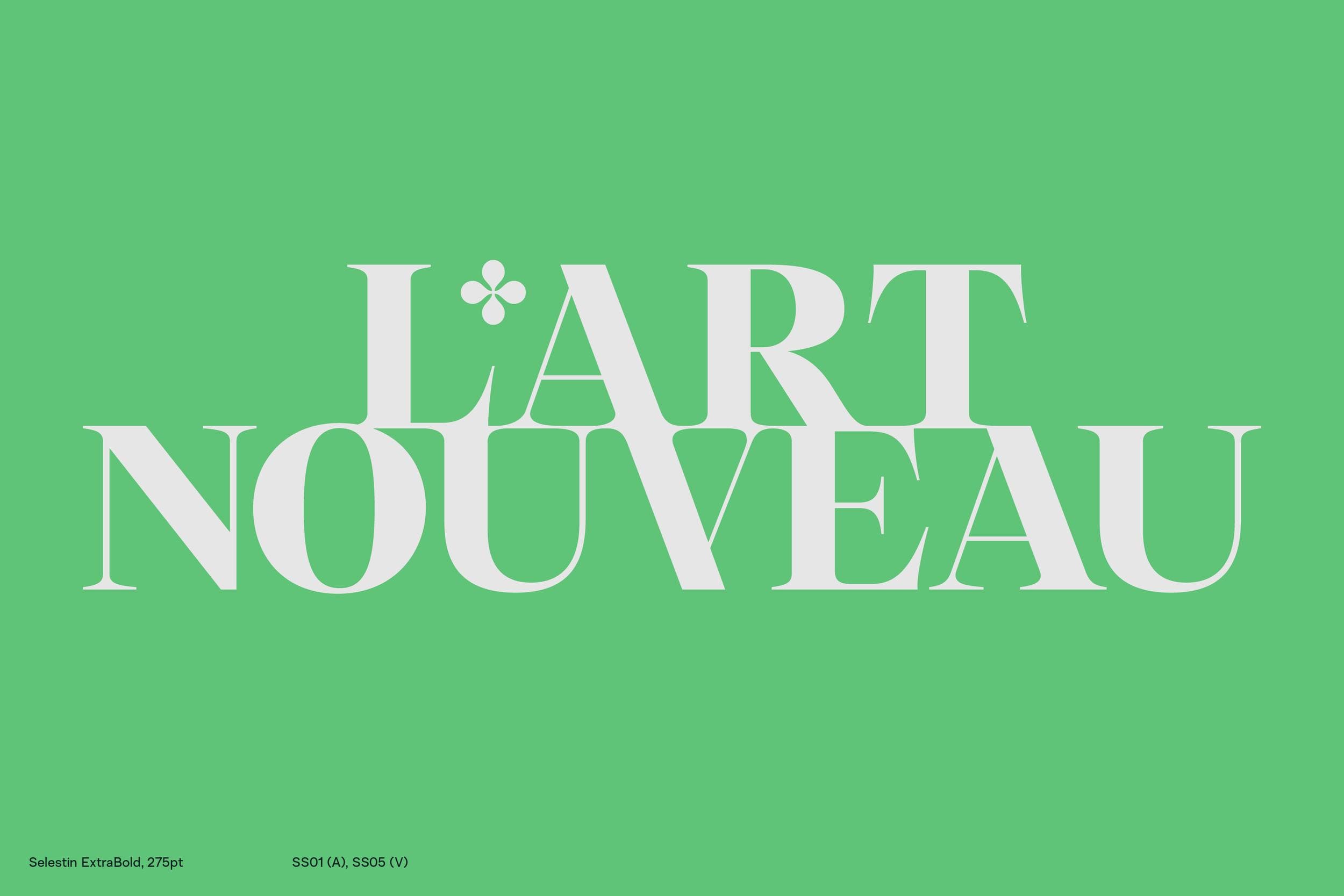 Selestin_Behance_13.png