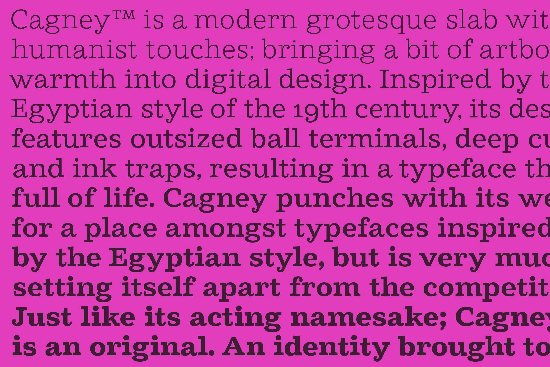 Cagney is a modern grotesque slab with humanist touches available in 14 styles