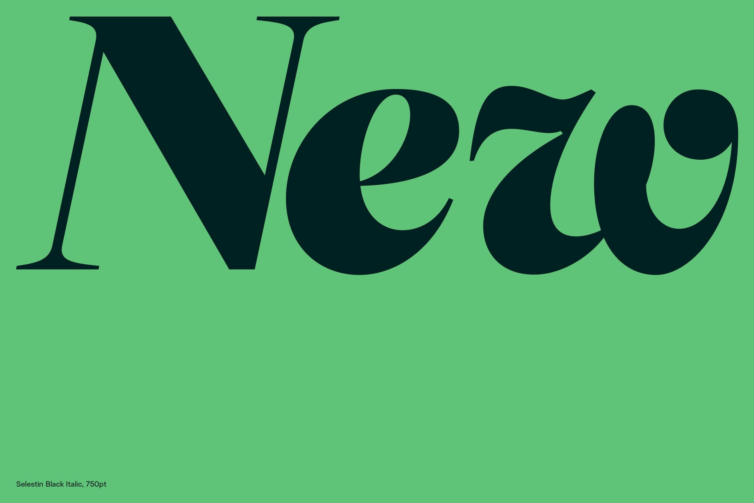 Selestin_Behance_16.png