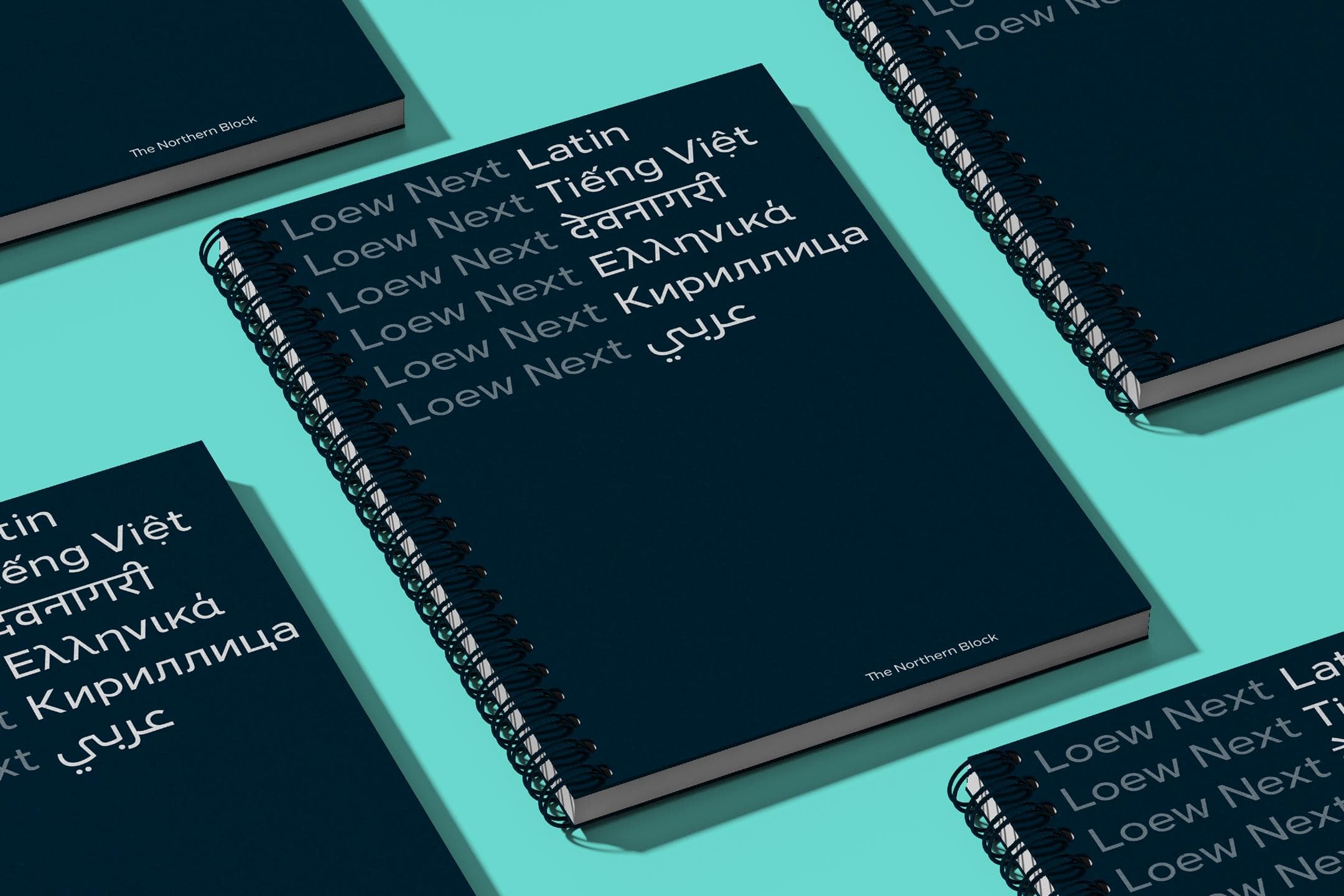 Loew Next Devanagari—An evocative global typeface by The Northern Block type foundry