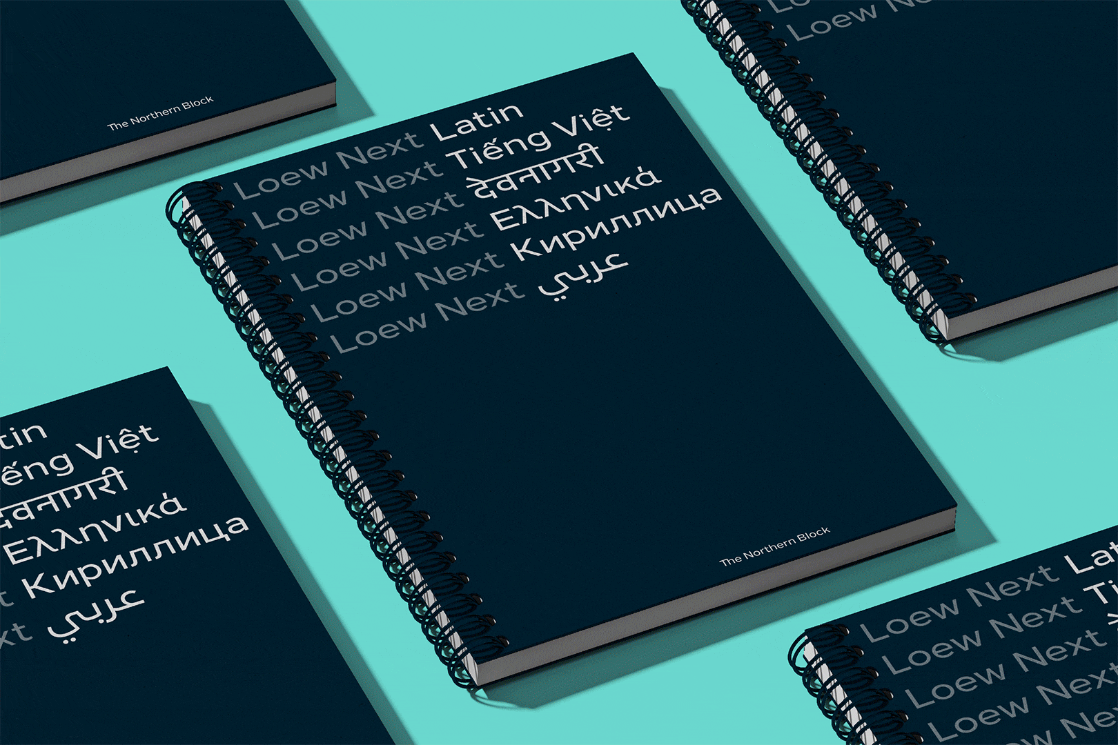 Loew Next Devanagari by The Northern Block type foundry—An evocative global typeface for the rising global superpower that is India