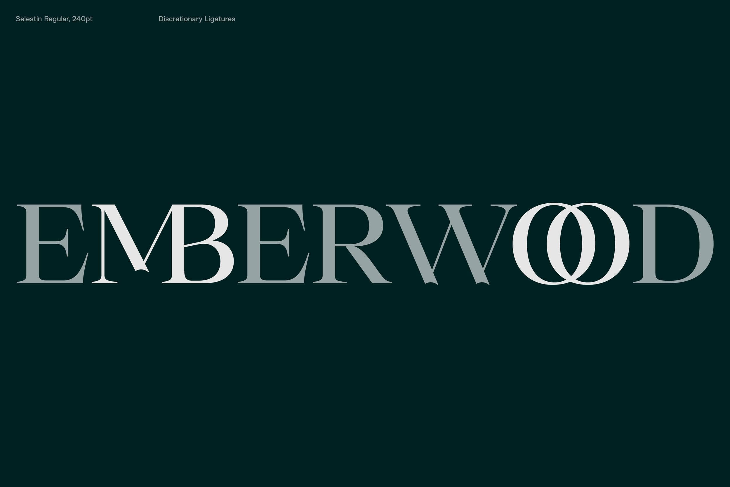 Selestin_Behance_28.png
