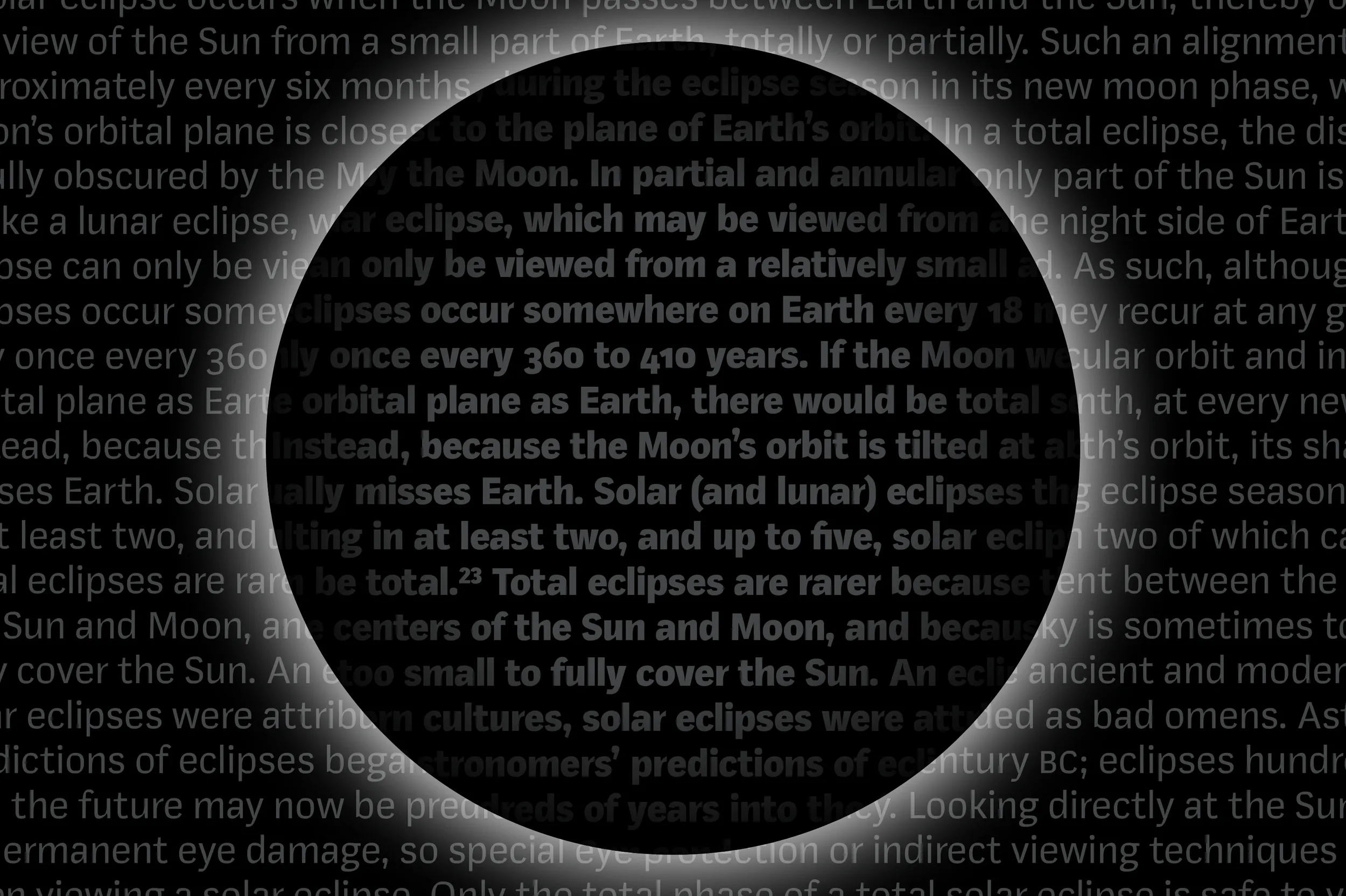 Mynor-B Behance_19.png
