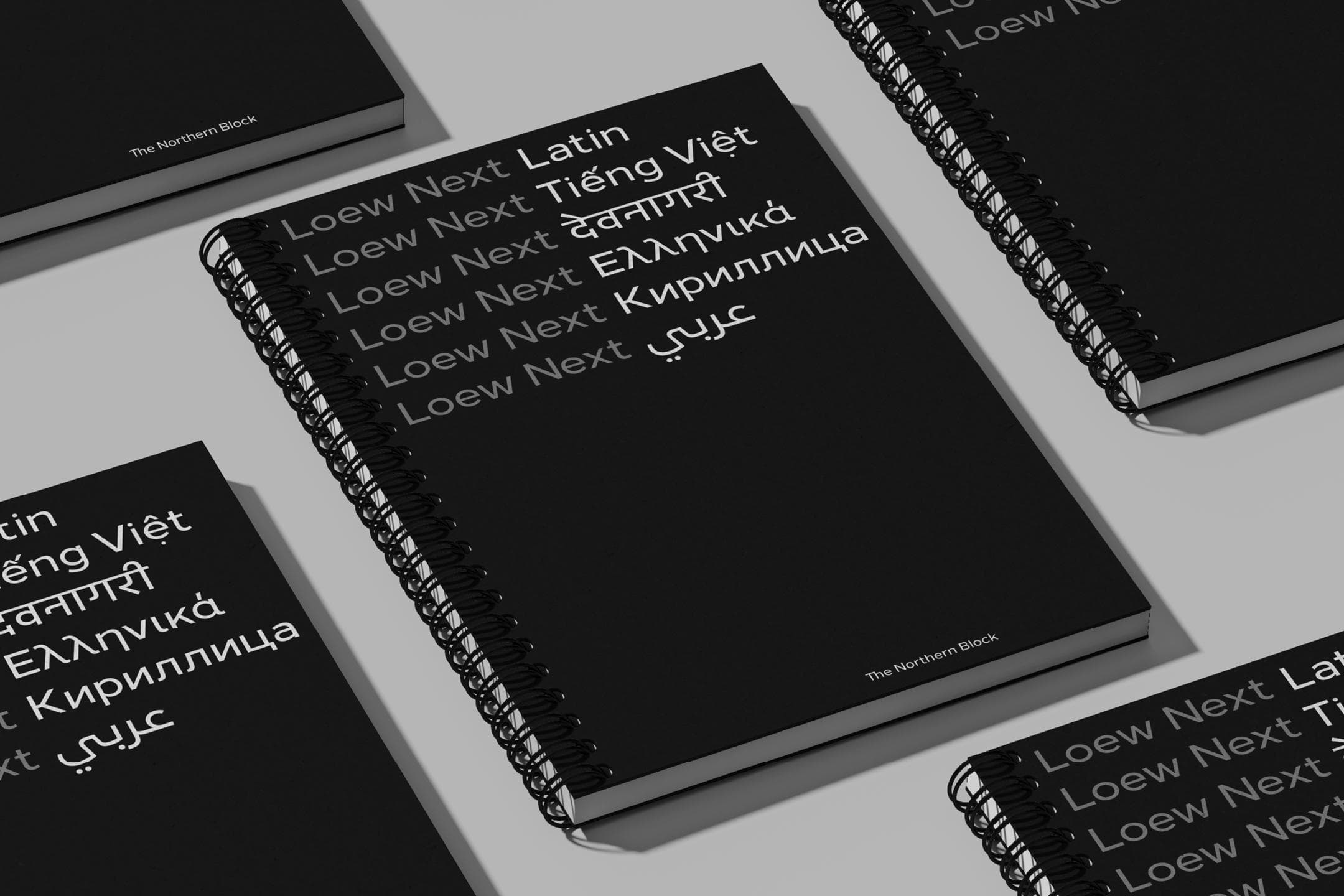 Loew Next Devanagari—An evocative global typeface for the rising global superpower that is India.