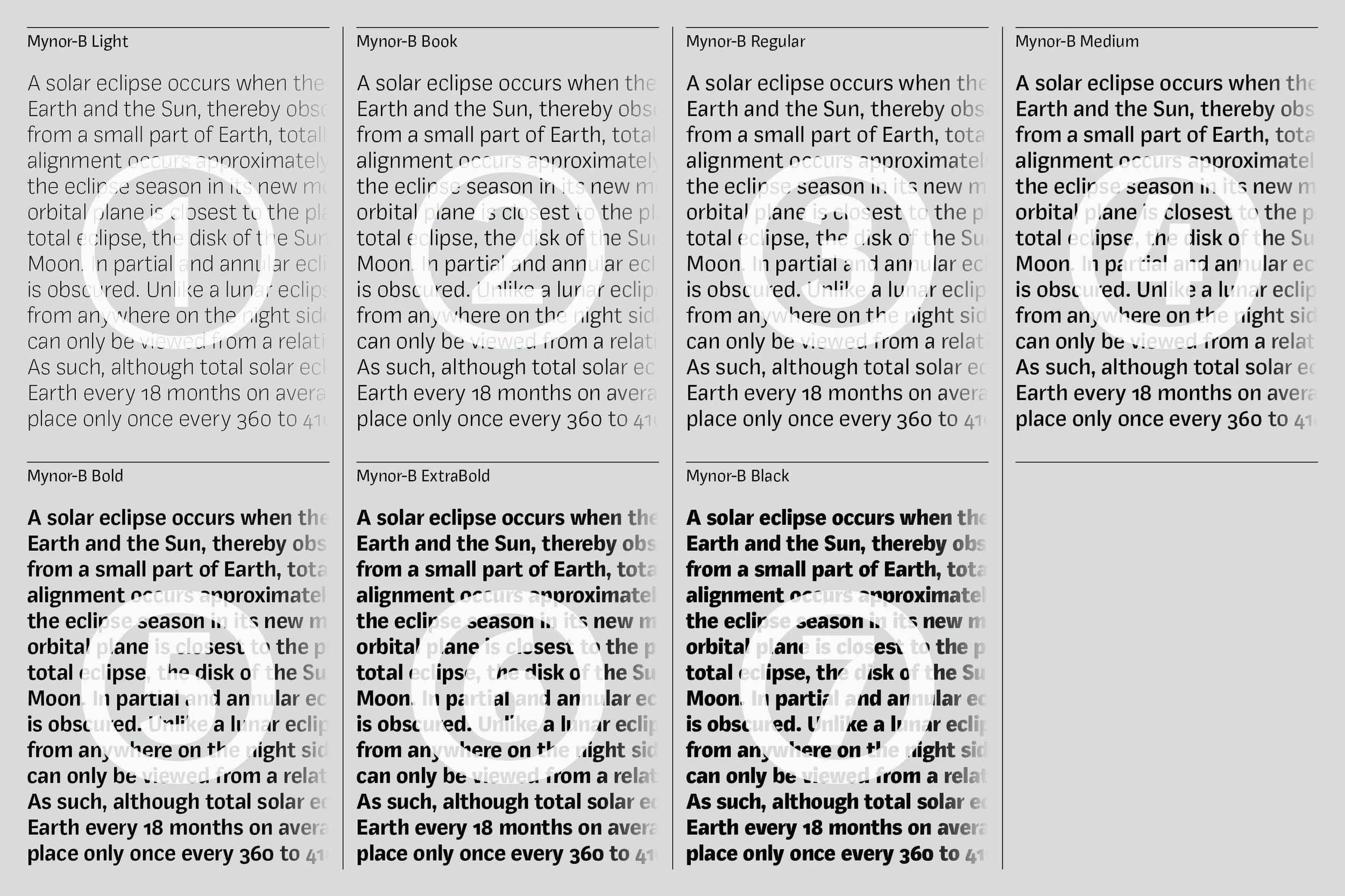 Mynor-B Behance_6.png