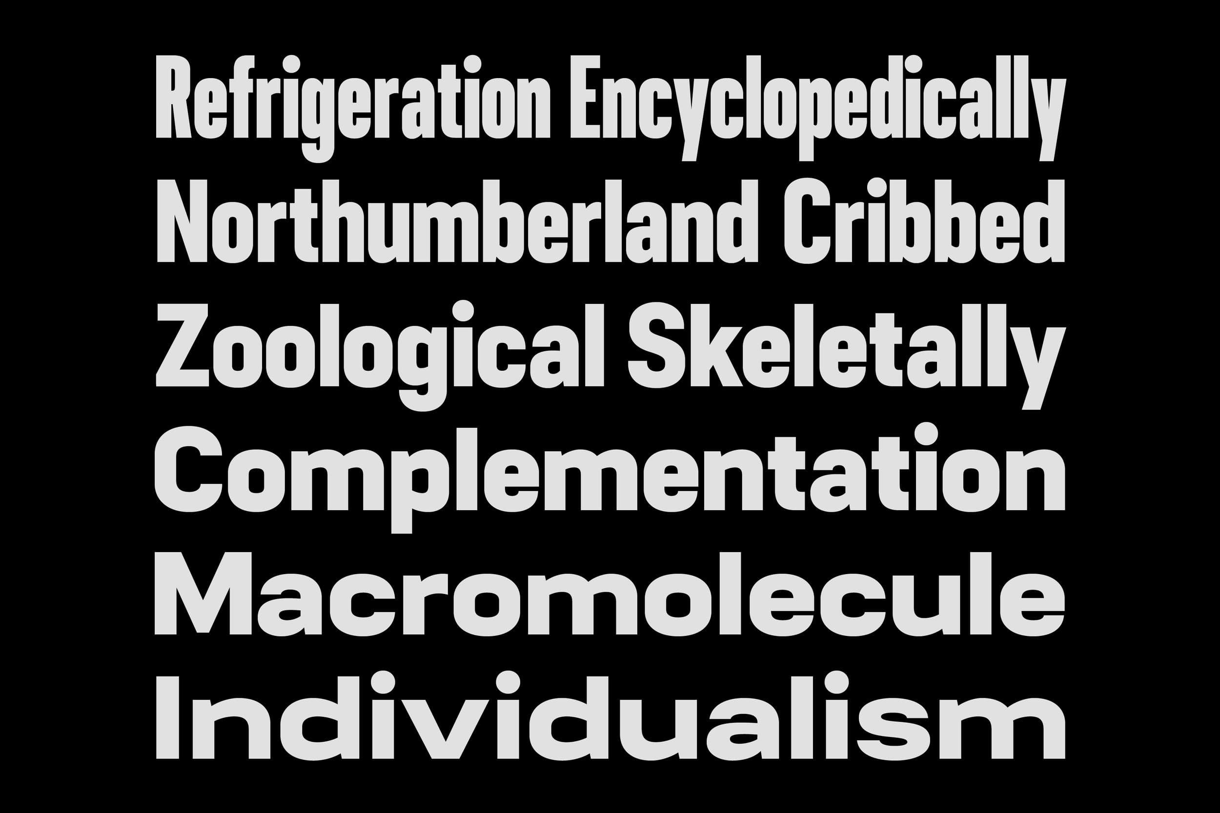 Lintel Next font by The Northern Block — Compressed Extrabold and Expanded Extrabold.