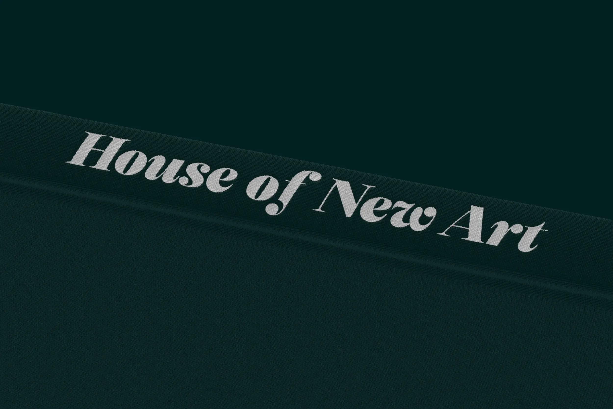 Selestin fictional fonts in use — book spine design for House of New Art book.