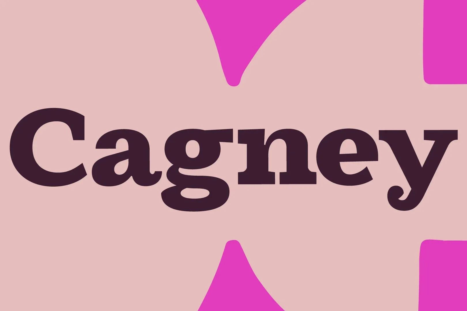Cagney Slab Serif Type Family by The Northern Block