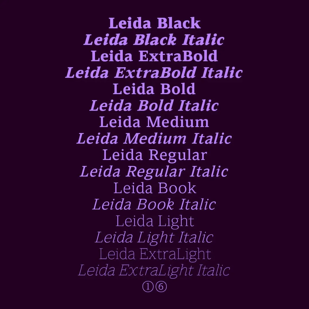Leida_Blog_3.jpg